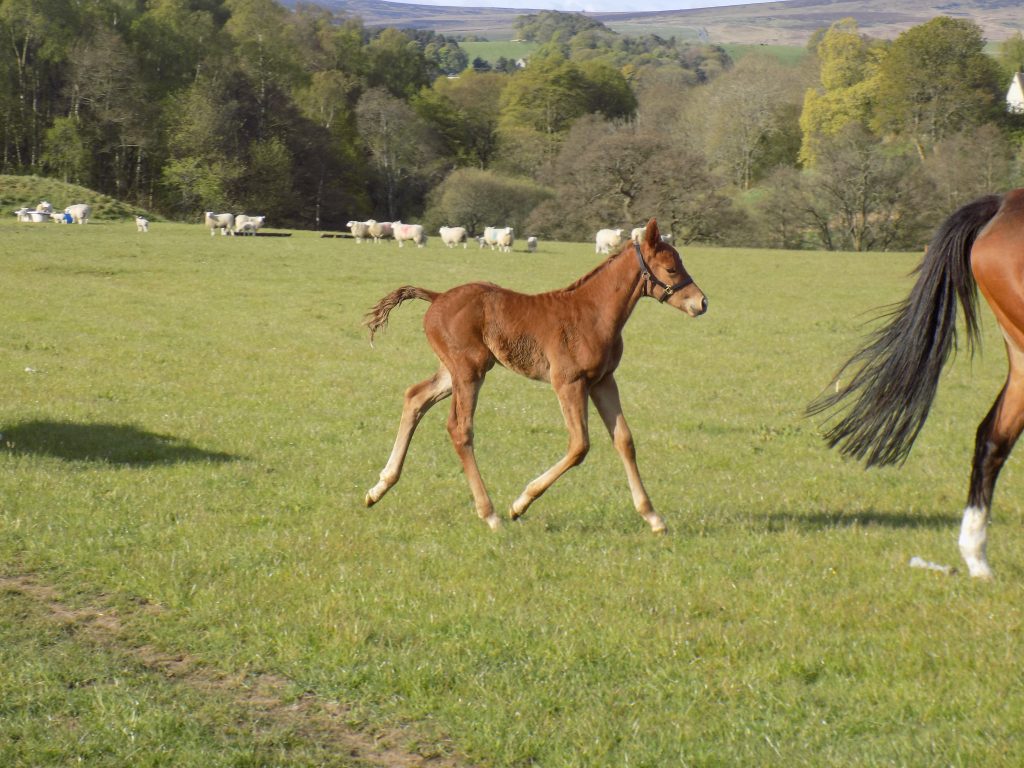 George at two weeks