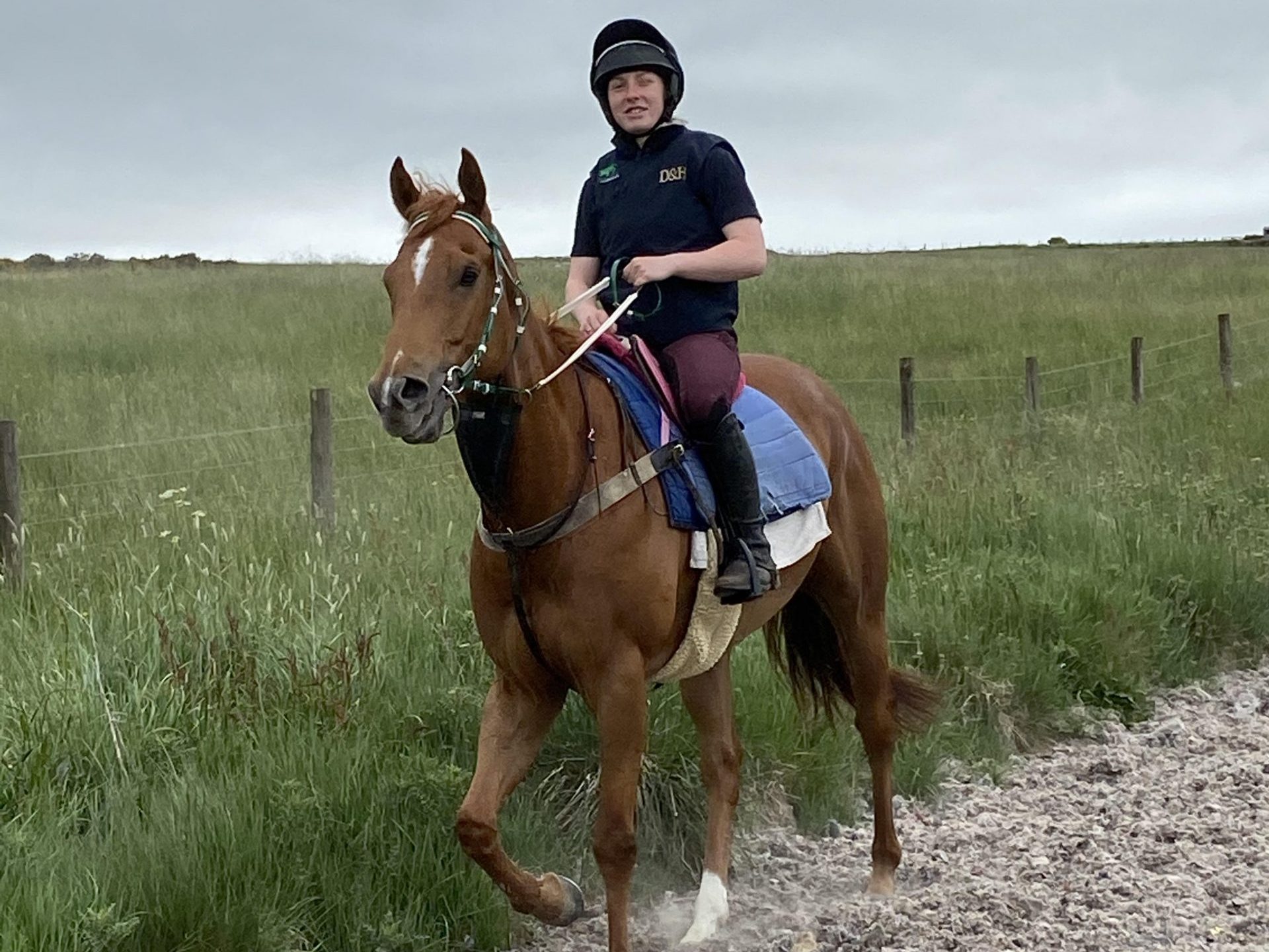 Redesdale Rebel