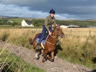 Redesdale Rebel