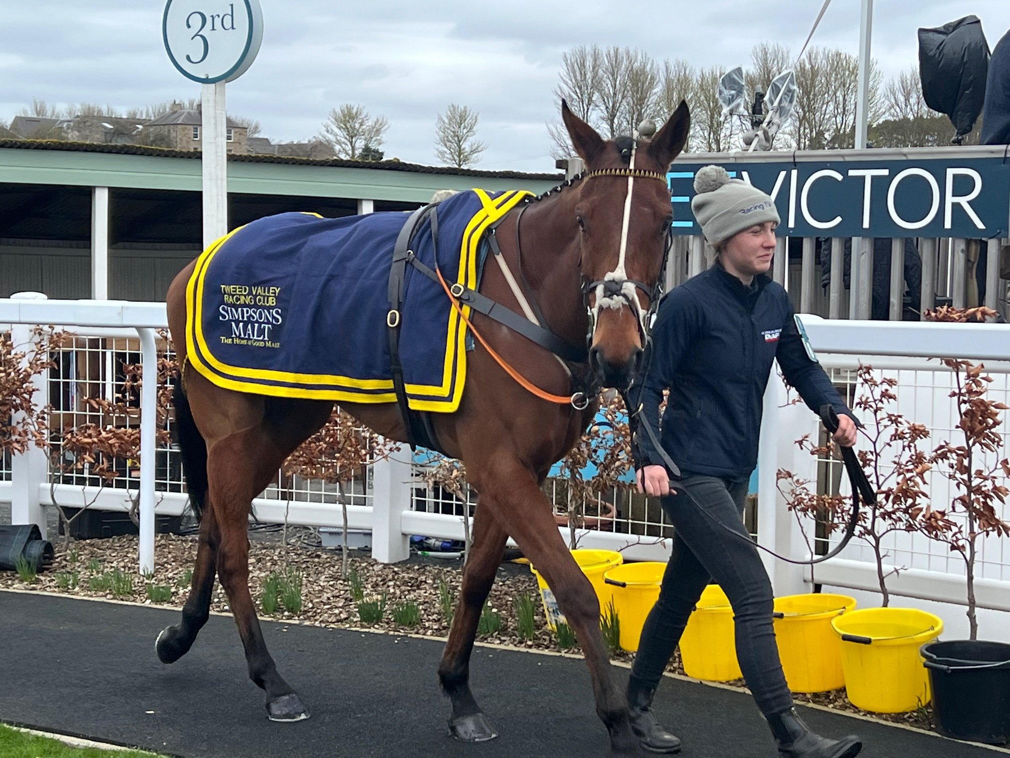 Les's Legacy at Kelso - Go North Final