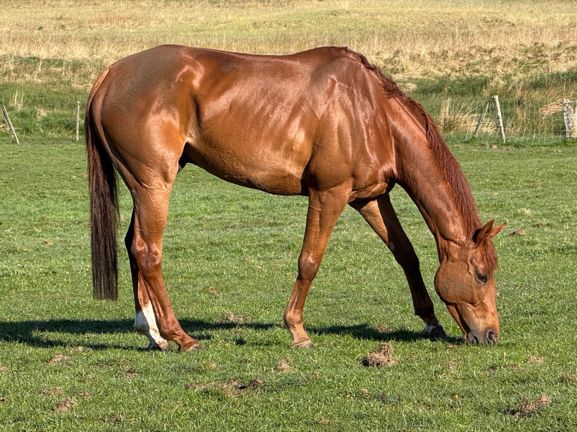 Ebchester 6